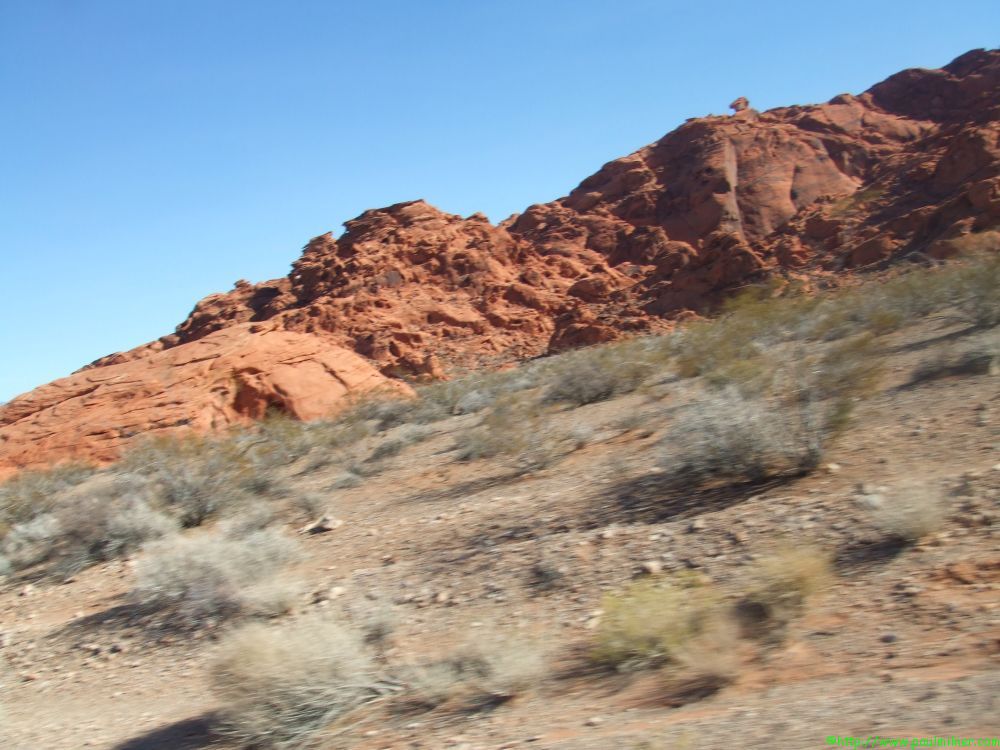 DSCF1241