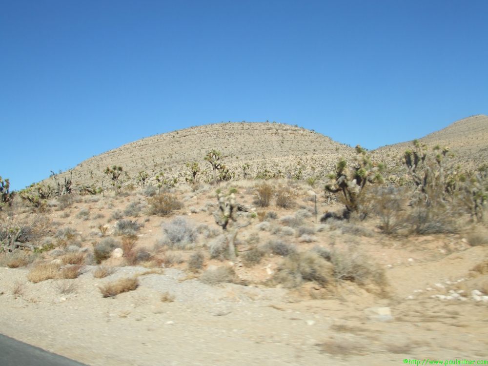 DSCF1426