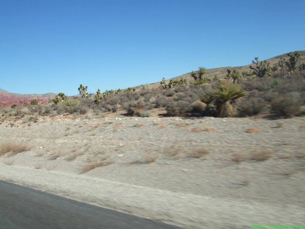 DSCF1439