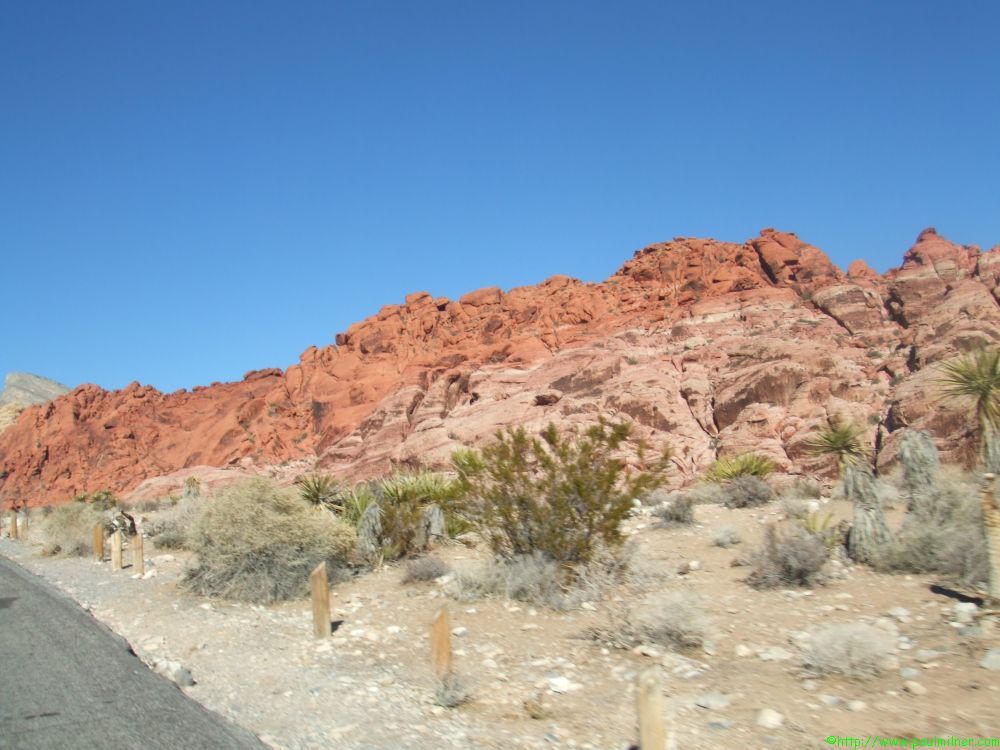 DSCF1463