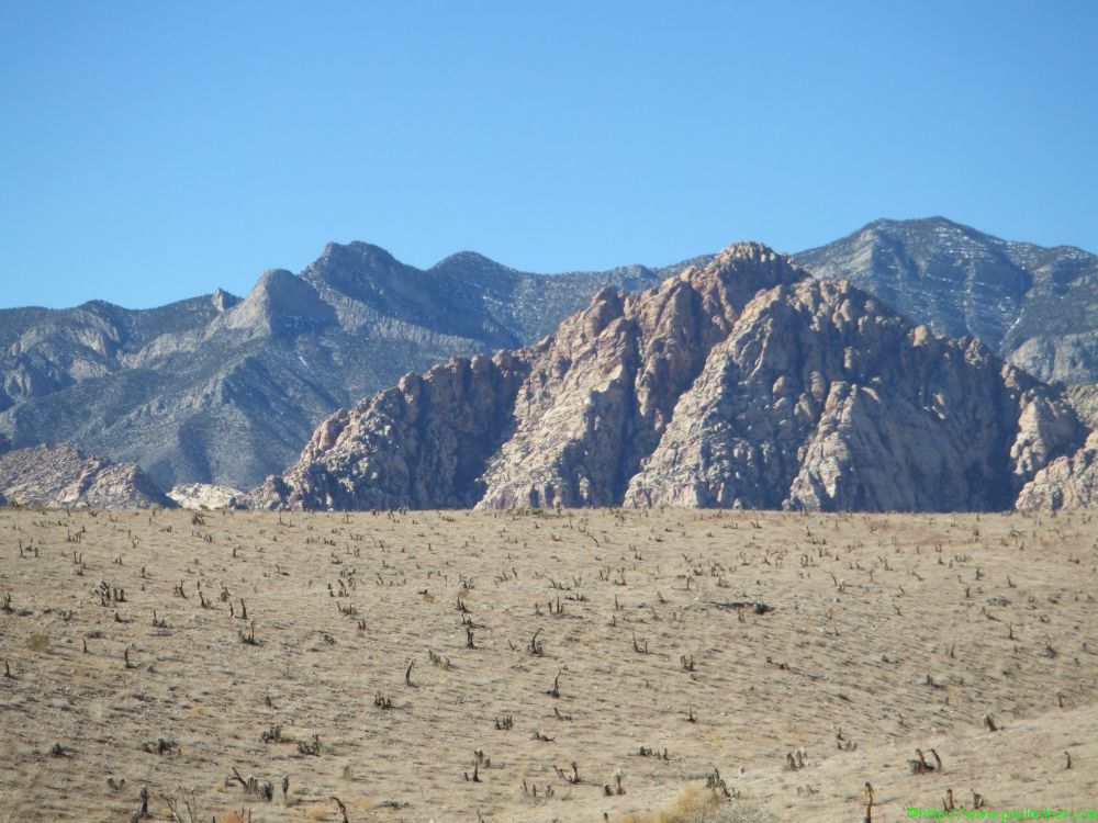 DSCF1479