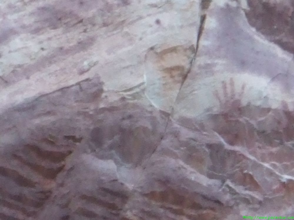 DSCF1523