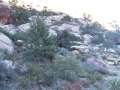 DSCF1524