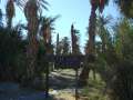 DSCF1671